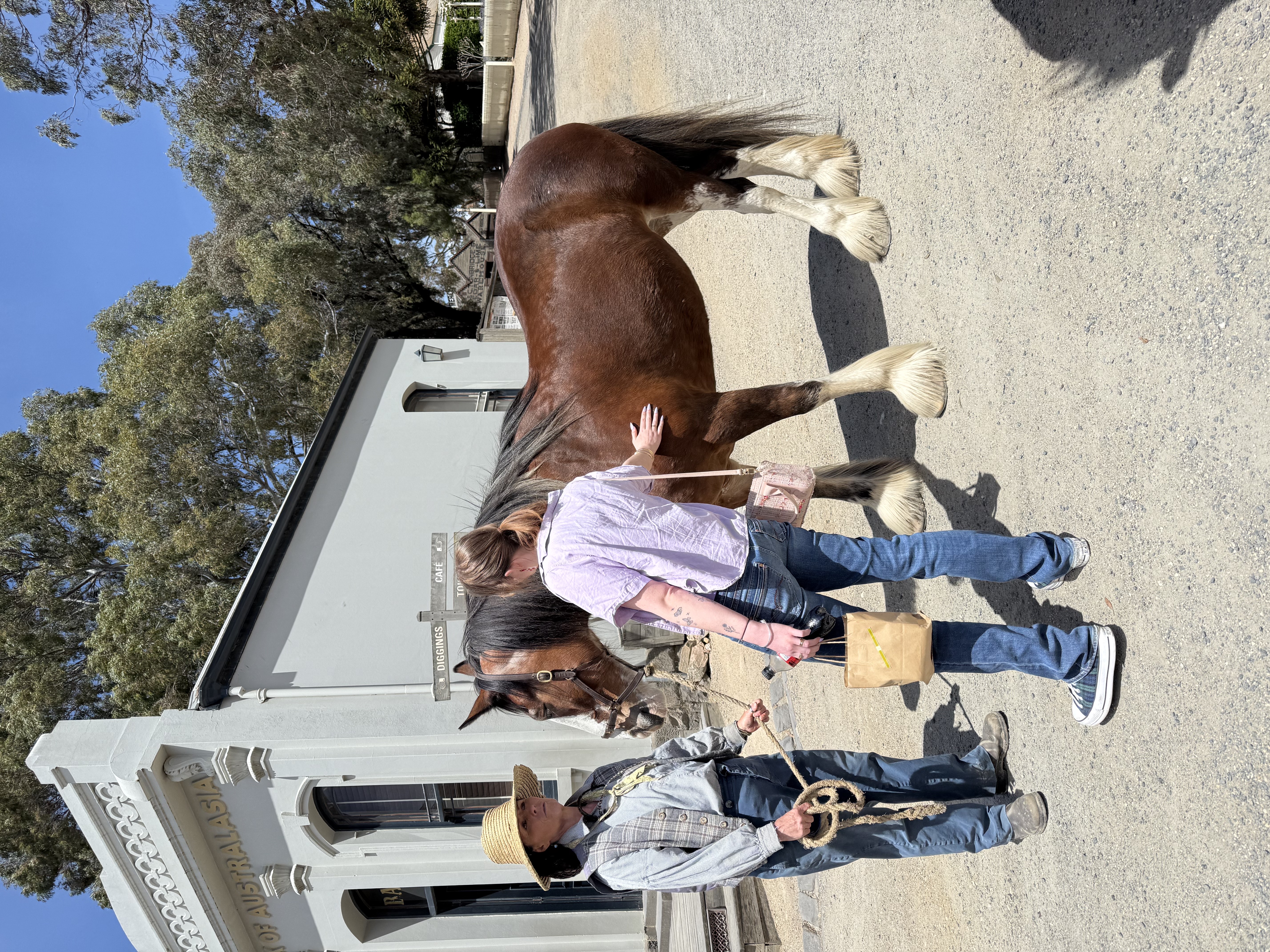 Horseback visit outing
